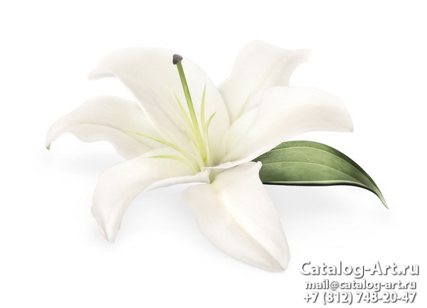 White lilies 2